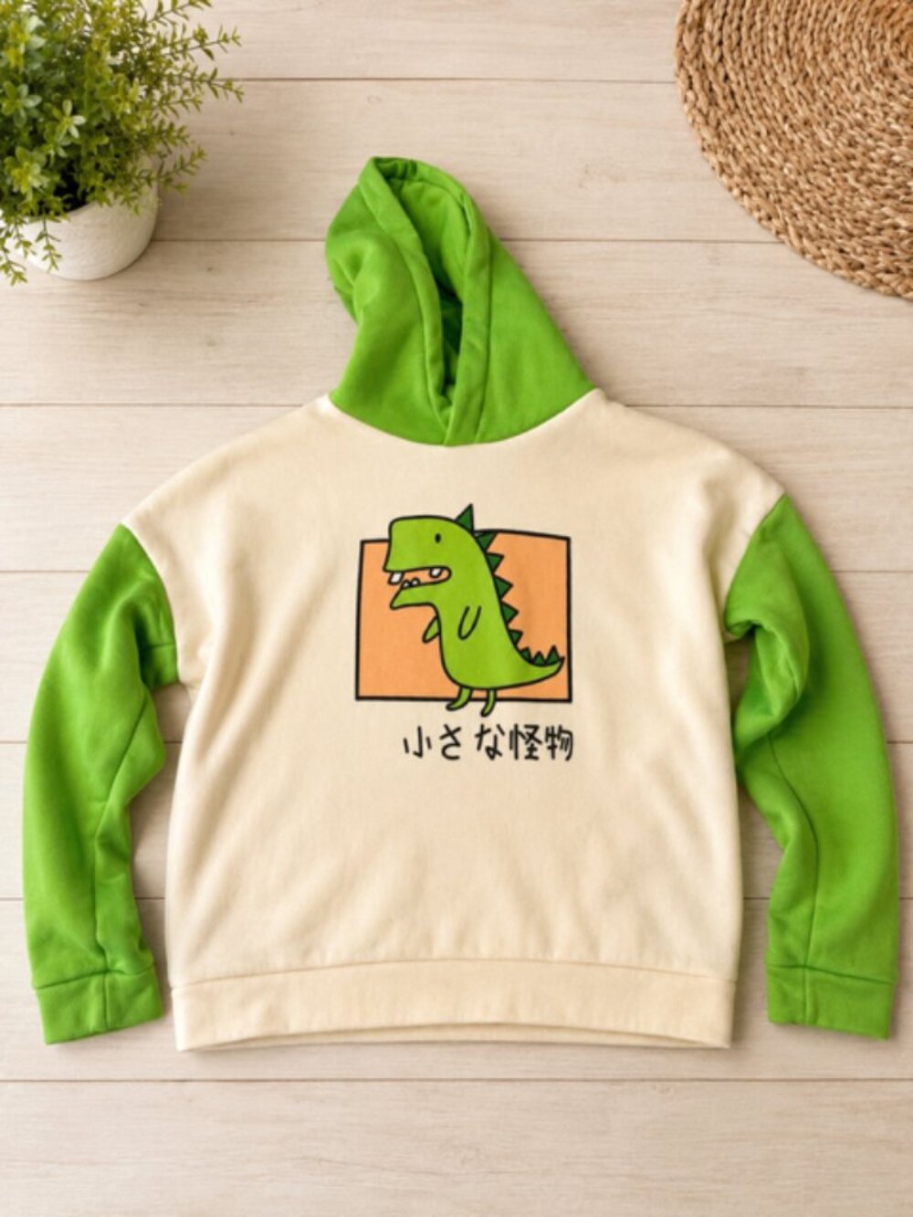 Kids Dinosaur Hoodie – Youth Large